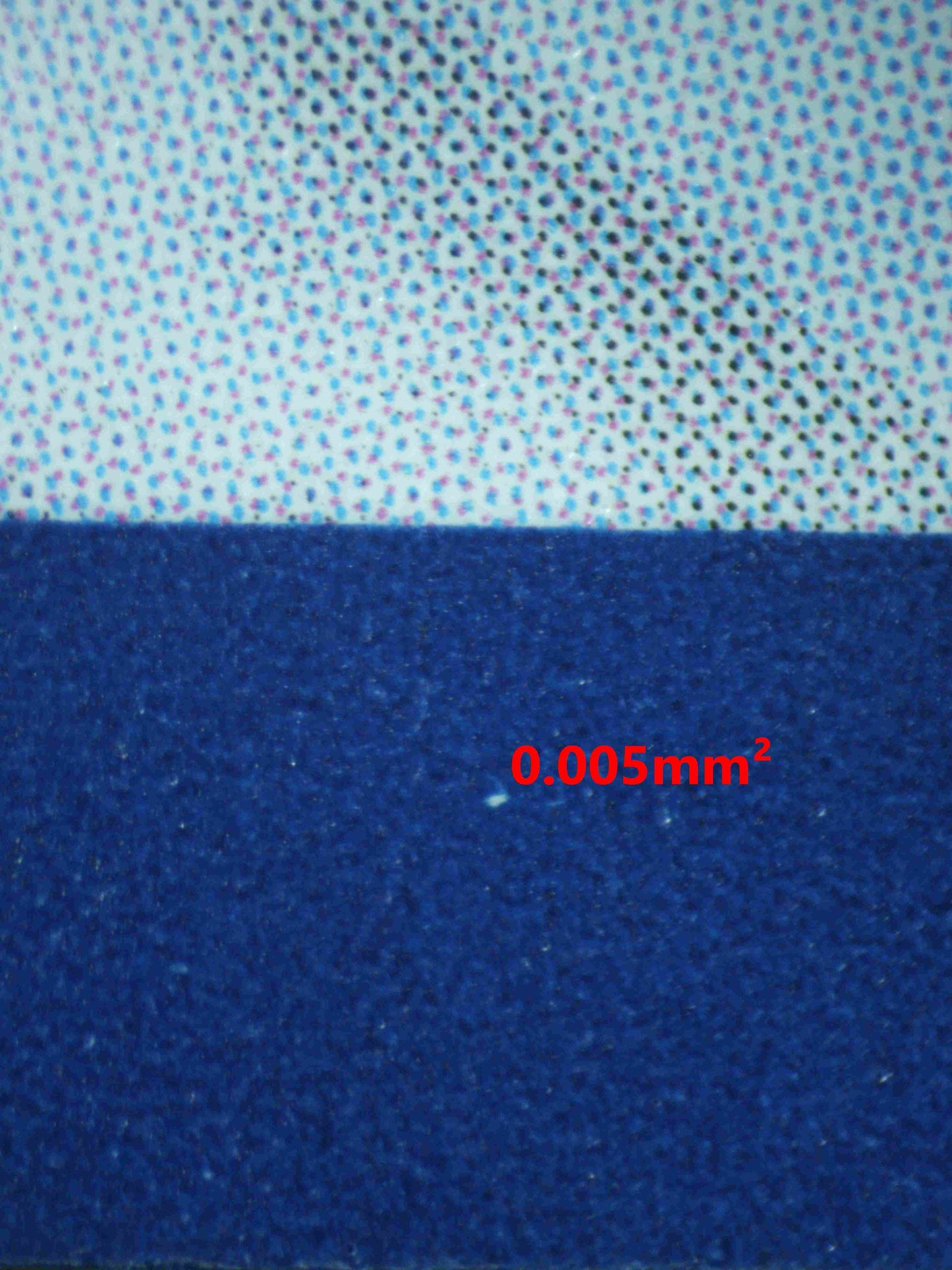 06750 SQUIRTLE Grading Card