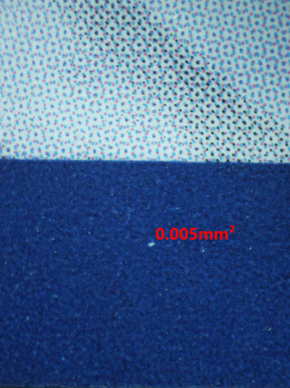 06750 SQUIRTLE Grading Card