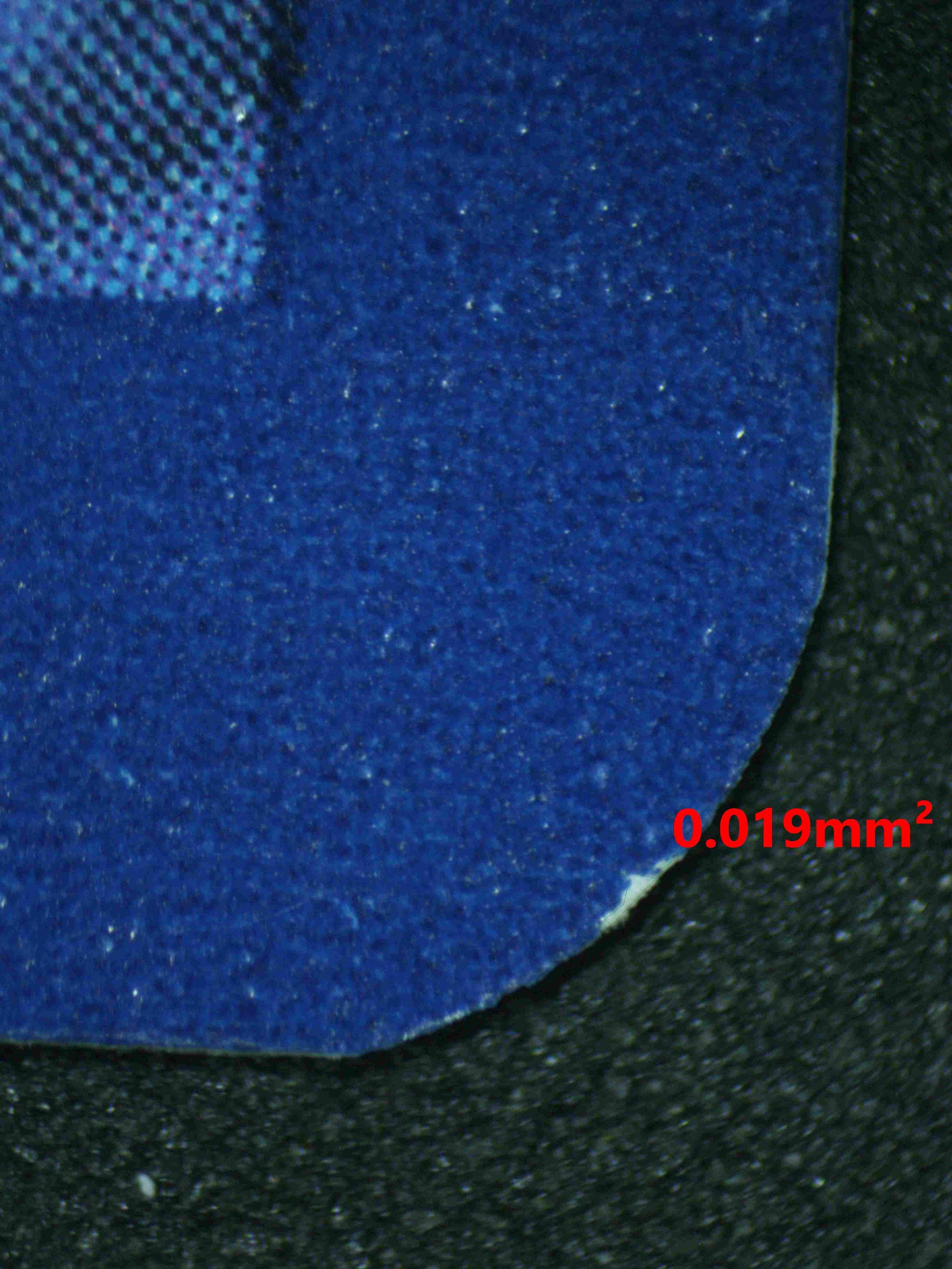 06750 SQUIRTLE Grading Card