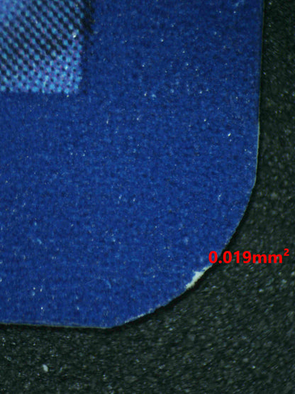 06750 SQUIRTLE Grading Card