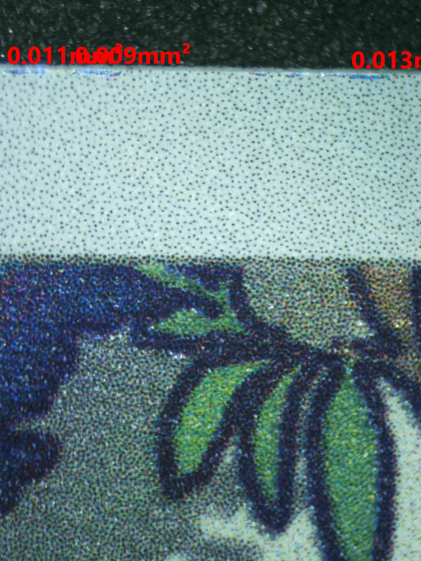 06750 SQUIRTLE Grading Card