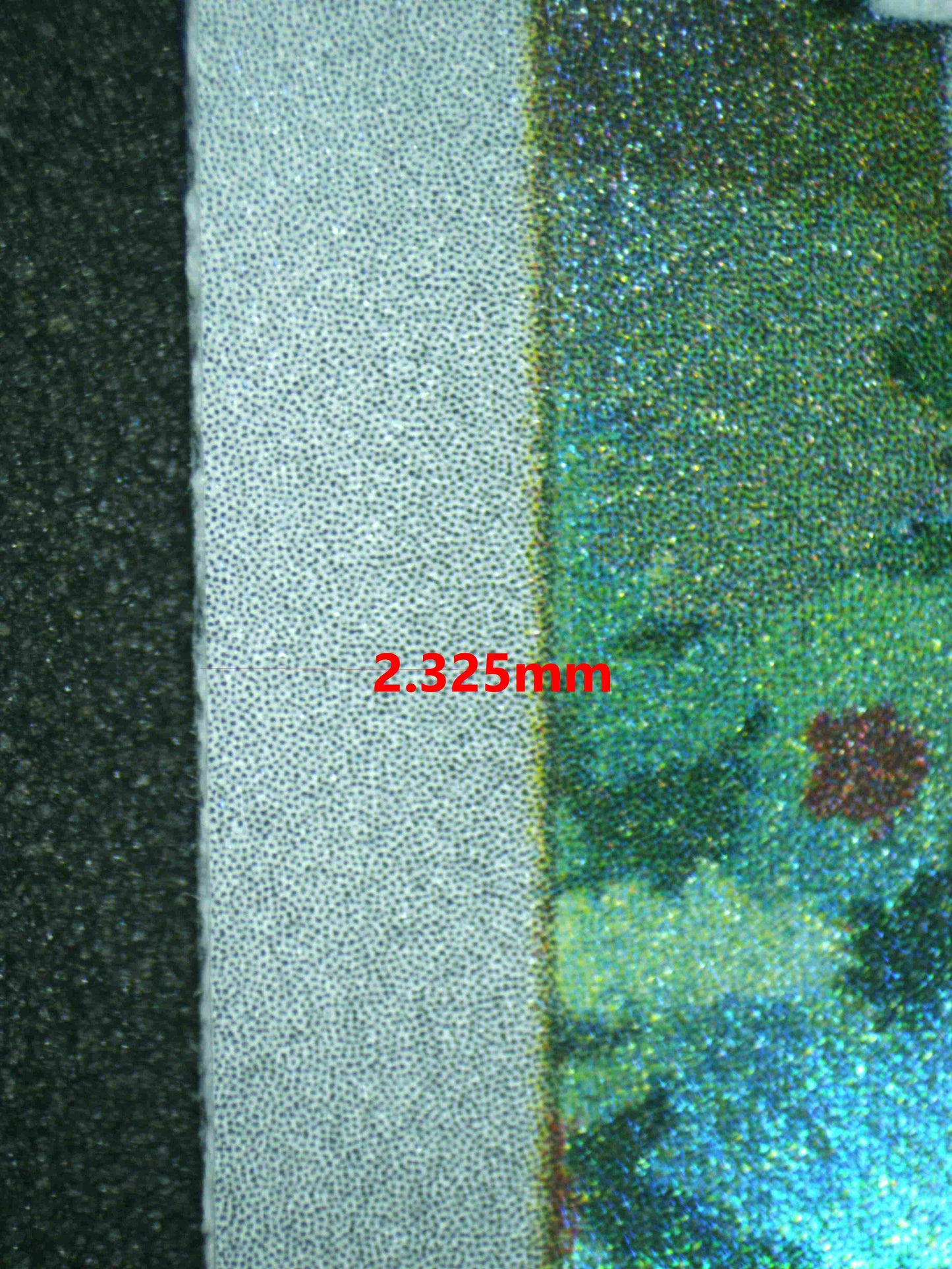 06753 CHARMANDER Grading Card