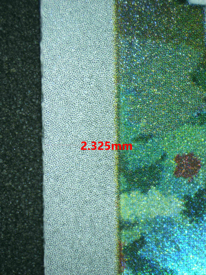 06753 CHARMANDER Grading Card