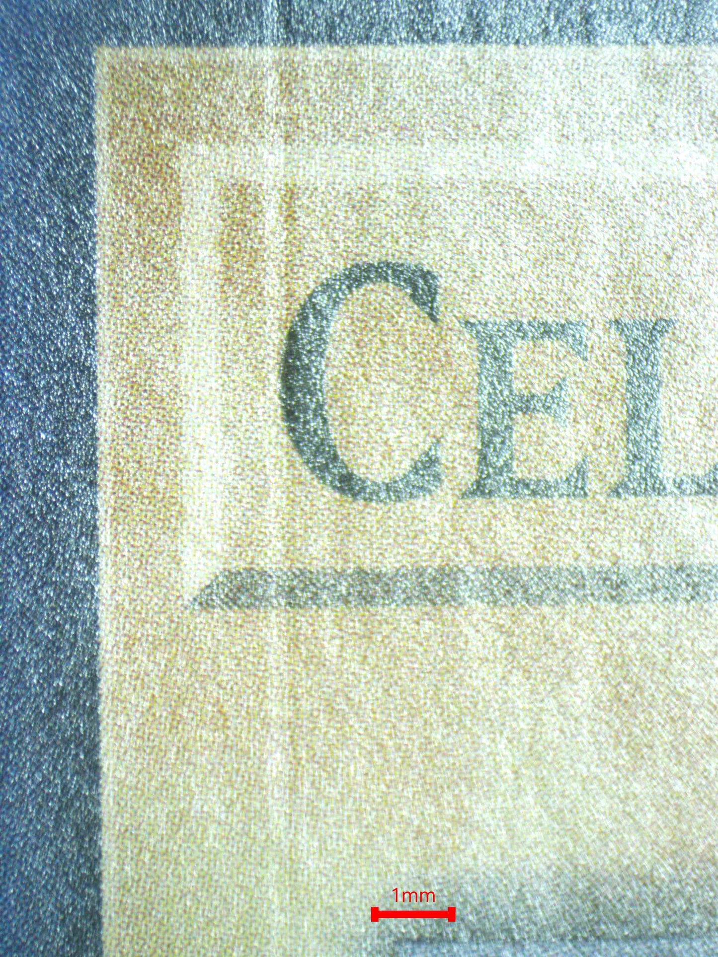 06824 CELTIC GUARDIAN Grading Card