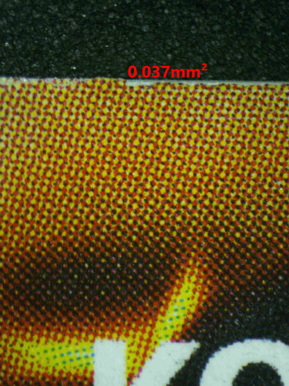 06824 CELTIC GUARDIAN Grading Card