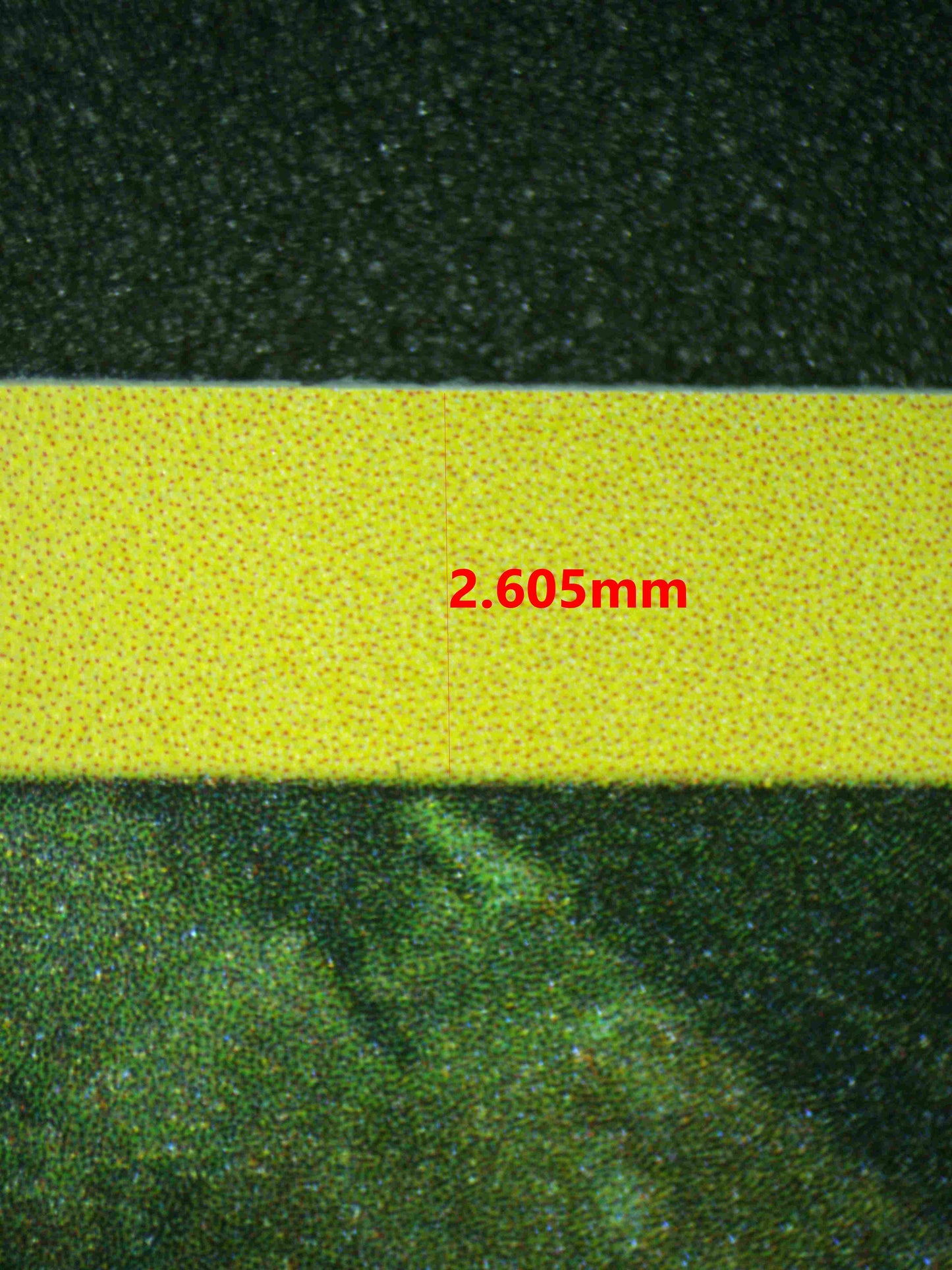 06756 BIDOOF Grading Card