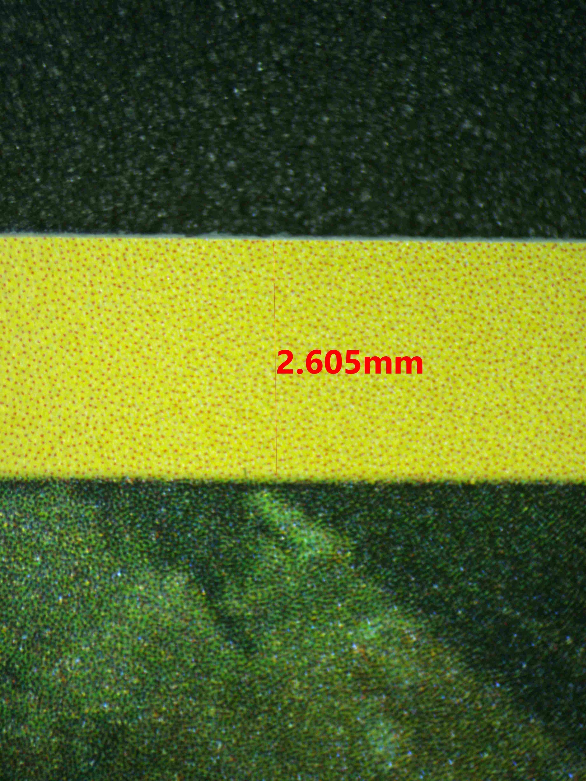 06756 BIDOOF Grading Card