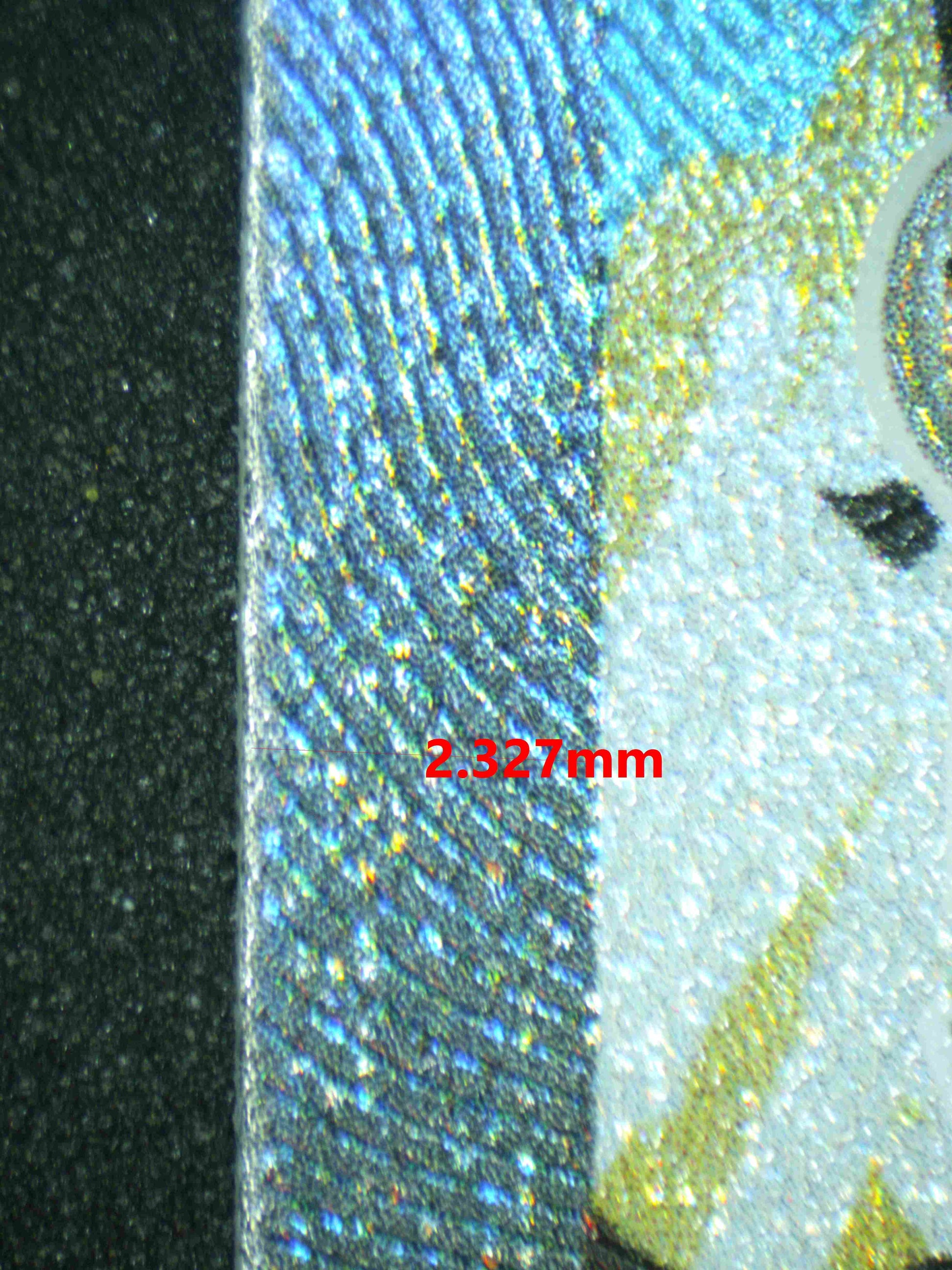 06765 ARCHALUDON EX Grading Card