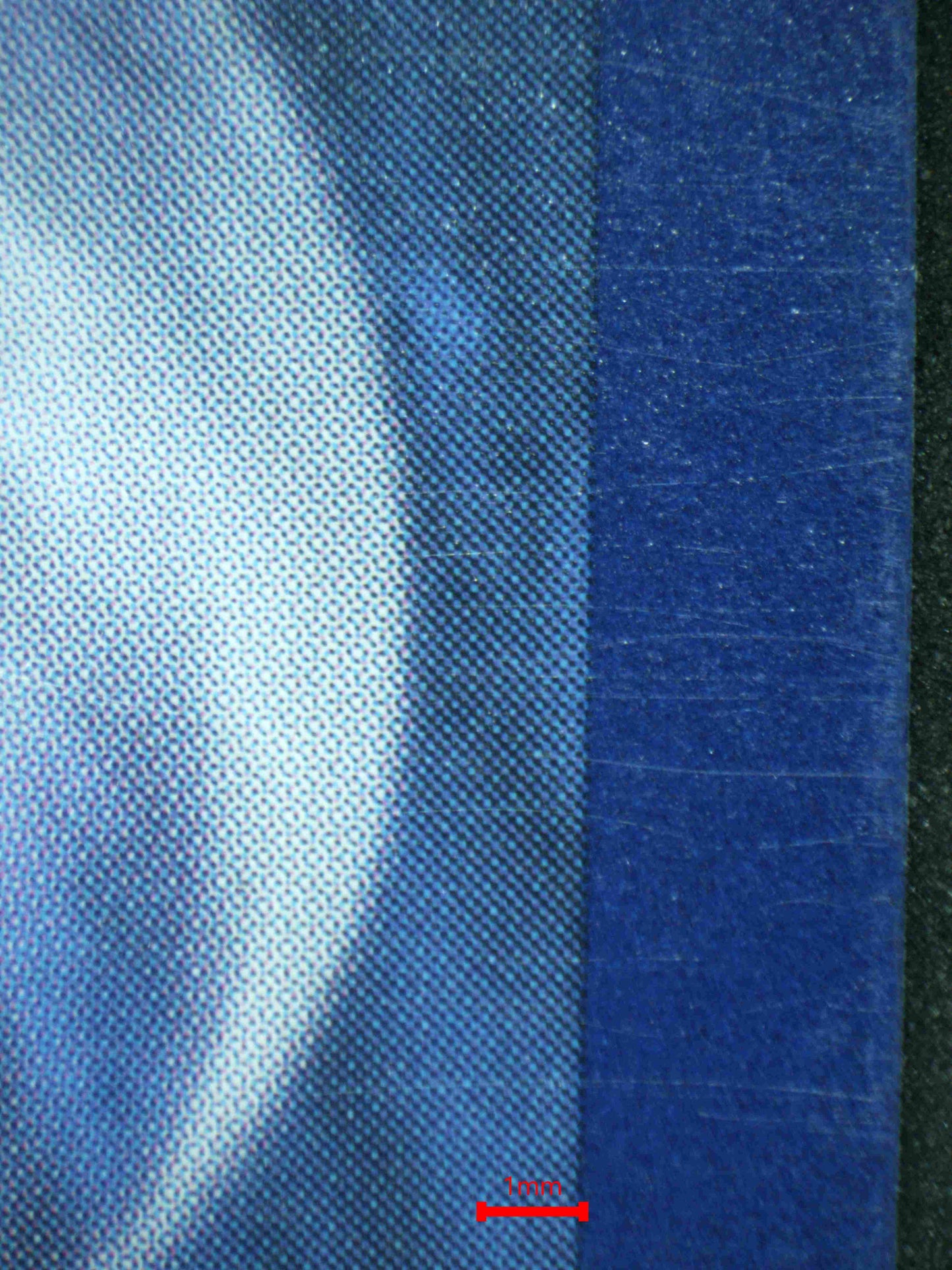 06767 GALVANTULA EX Grading Card