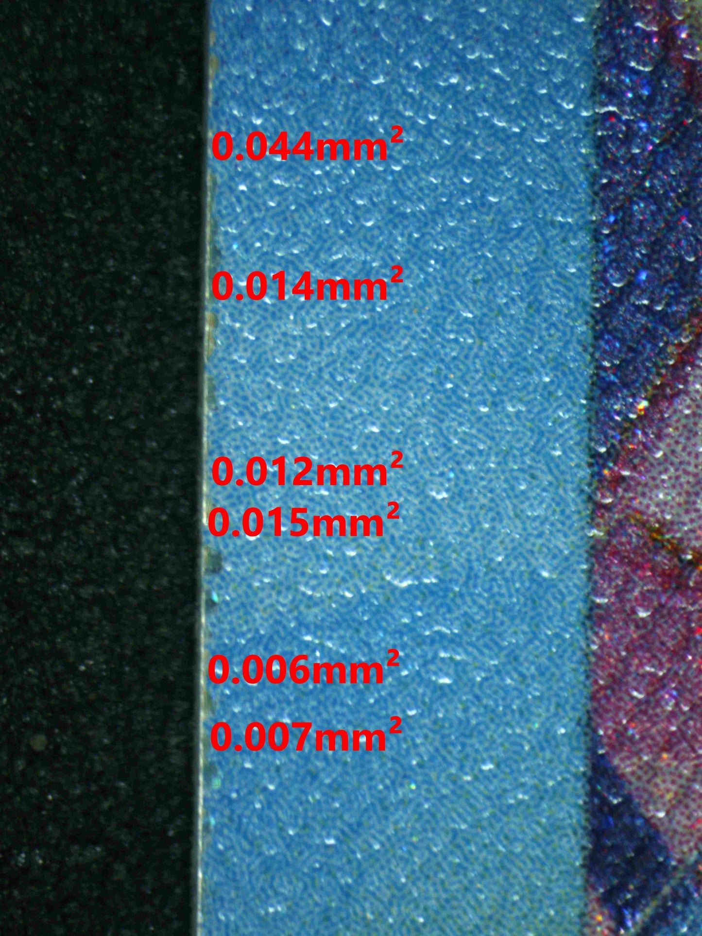 06767 GALVANTULA EX Grading Card