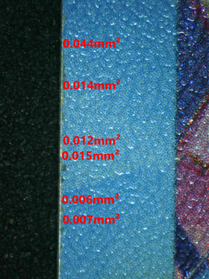 06767 GALVANTULA EX Grading Card