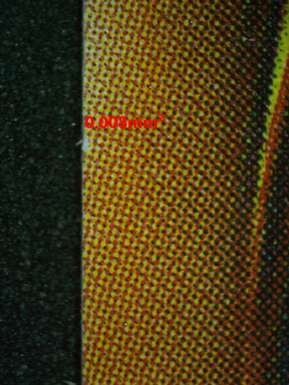 06769 LULLABY OF OBEDIENCE Grading Card