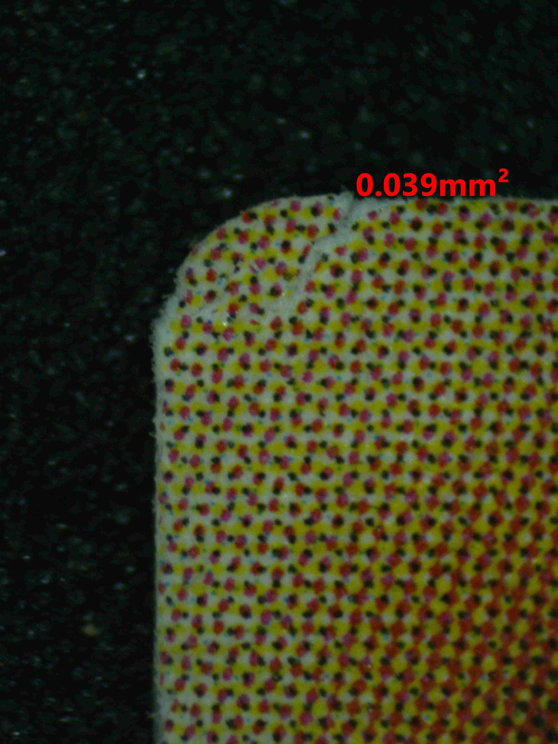 06770 GUIDING QUEM, THE VIRTUOUS Grading Card