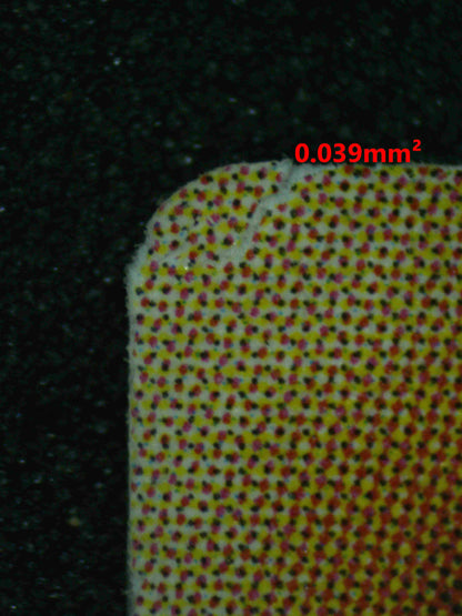 06770 GUIDING QUEM, THE VIRTUOUS Grading Card