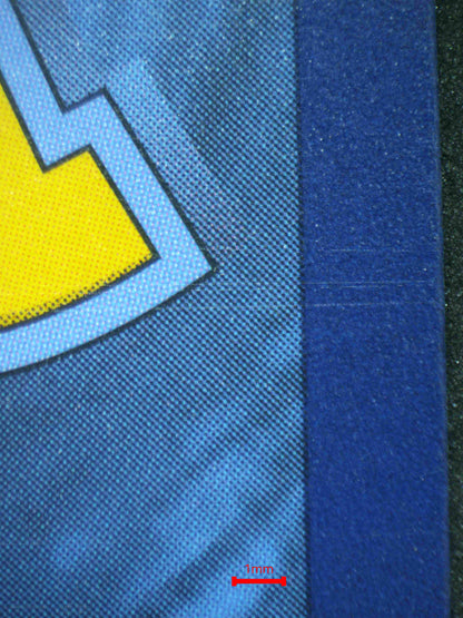 06776 PIKACHU EX Grading Card