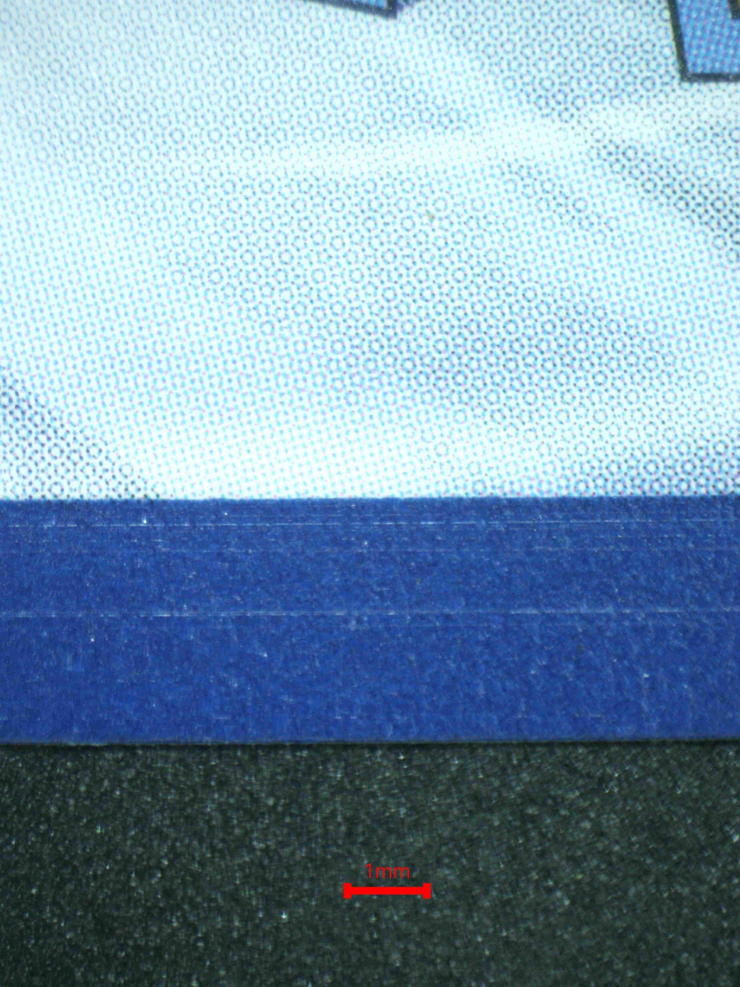 06780 MORTY'S CONVICTION Grading Card