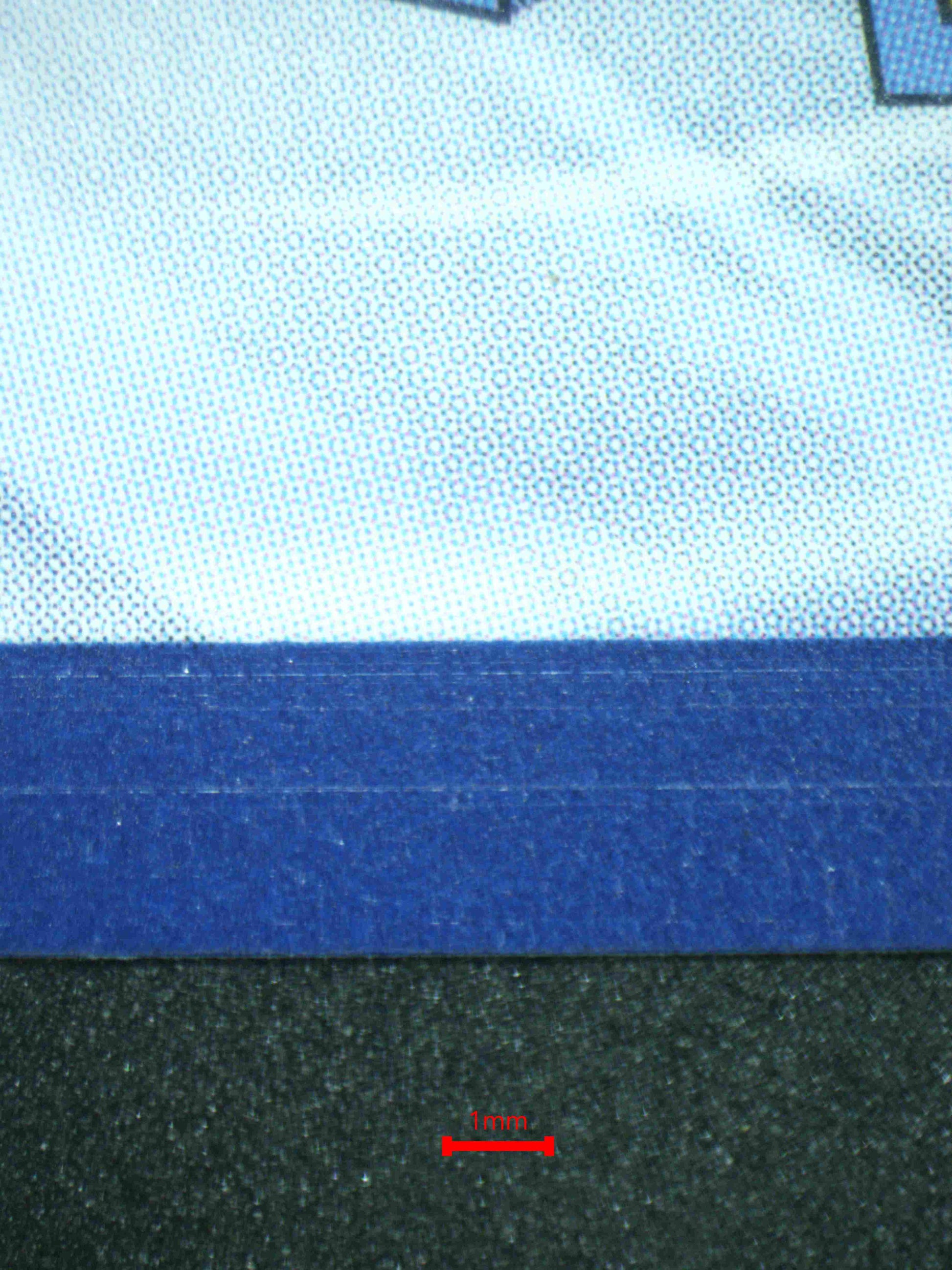 06780 MORTY'S CONVICTION Grading Card