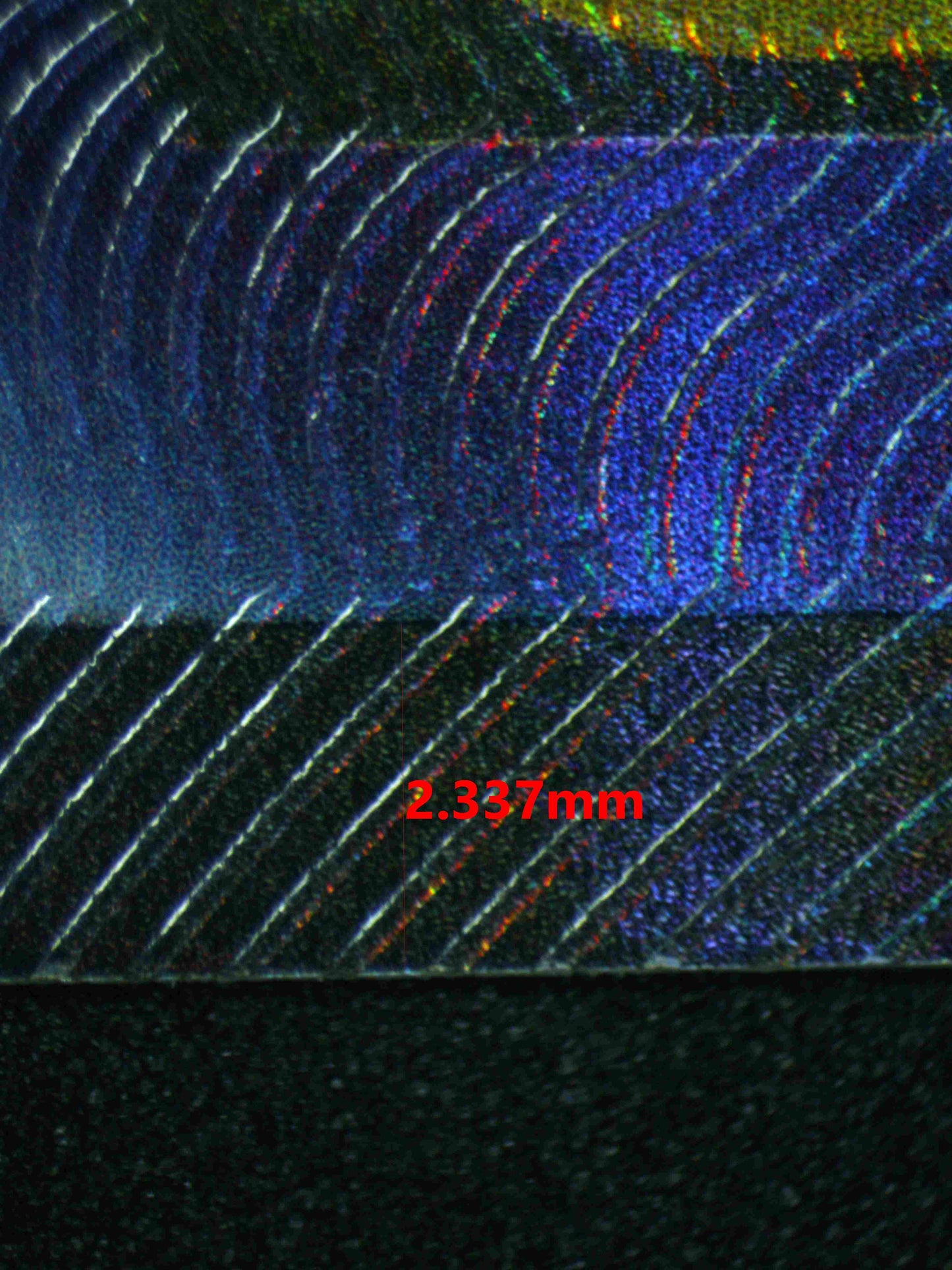 06786 GYARADOS EX Grading Card