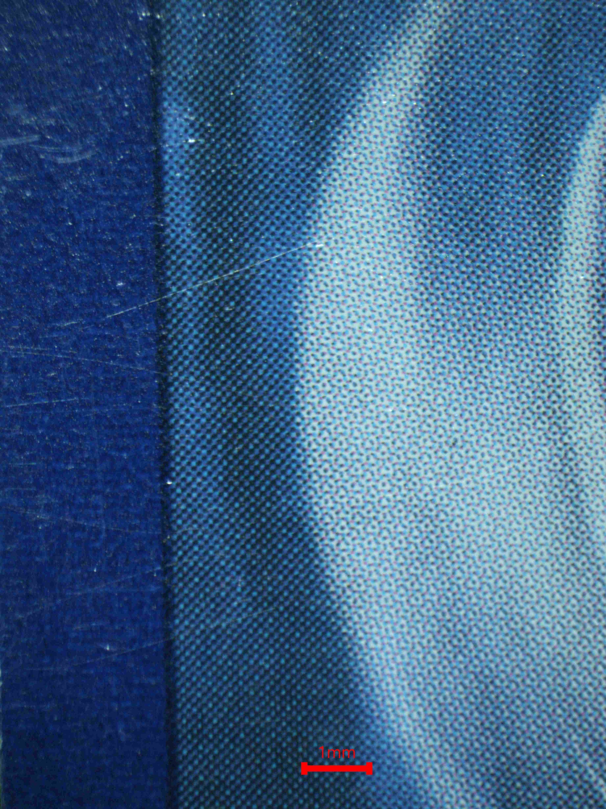 06787 TEAMMATES Grading Card