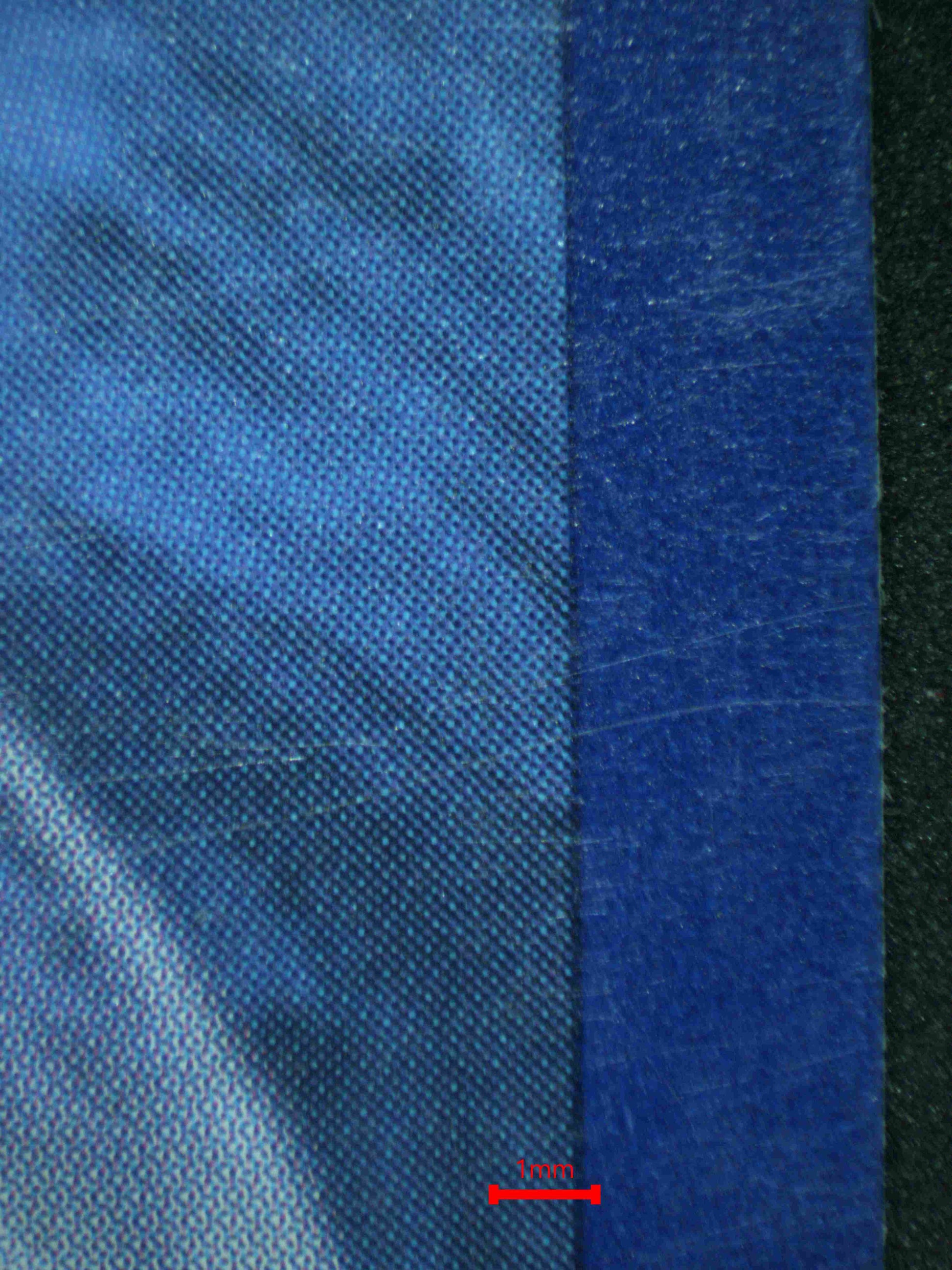 06788 LUGIA EX Grading Card