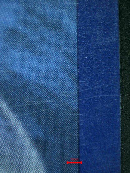 06788 LUGIA EX Grading Card