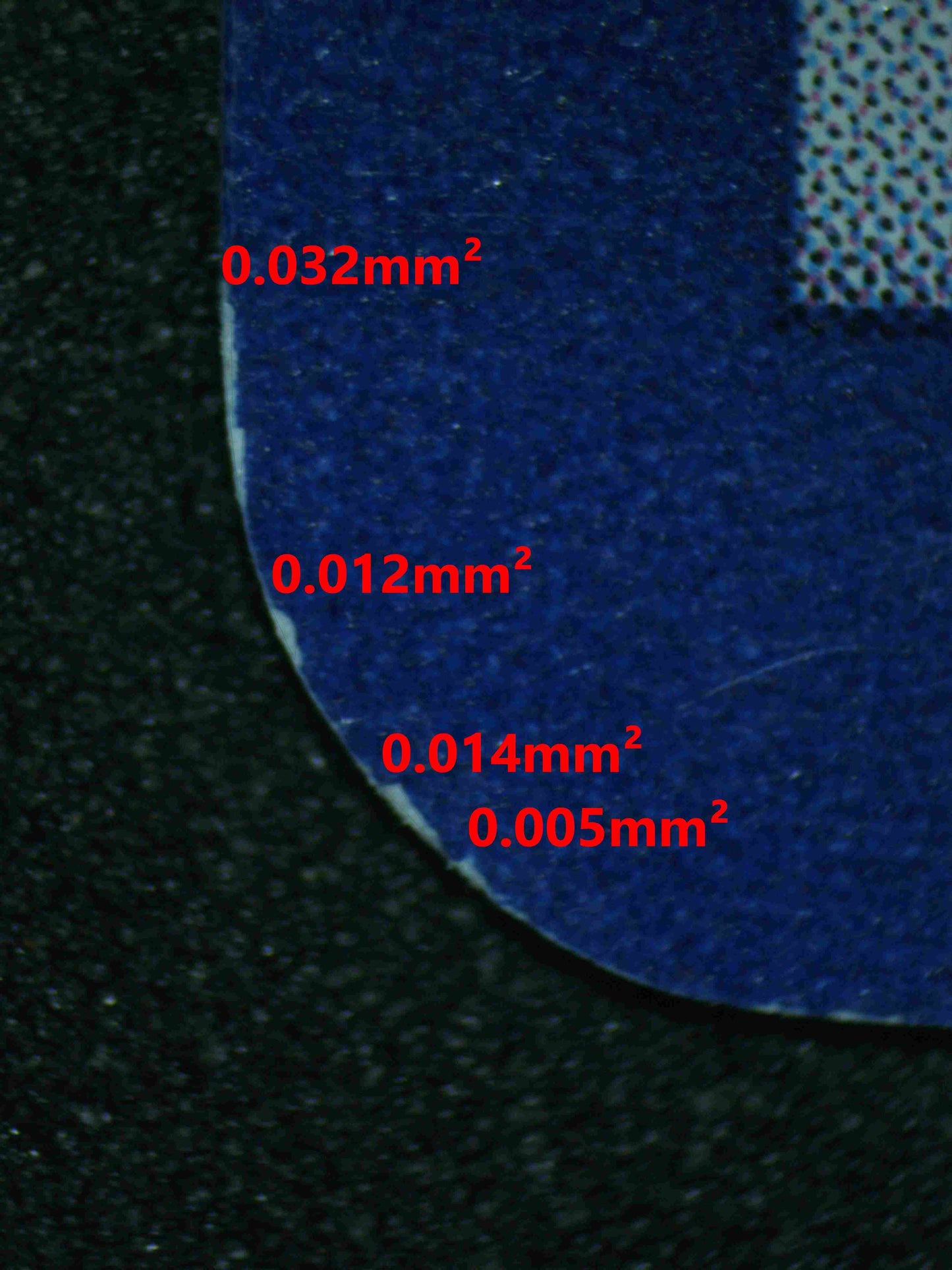 06788 LUGIA EX Grading Card