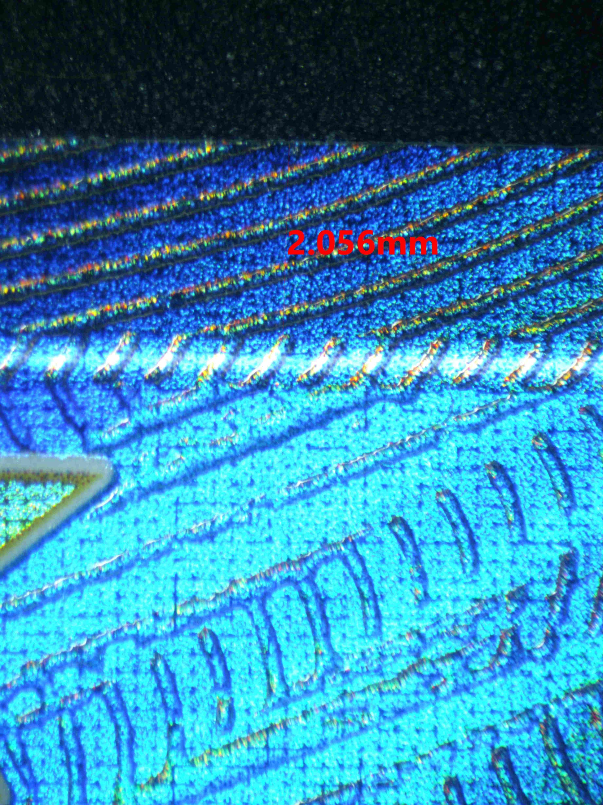 06788 LUGIA EX Grading Card