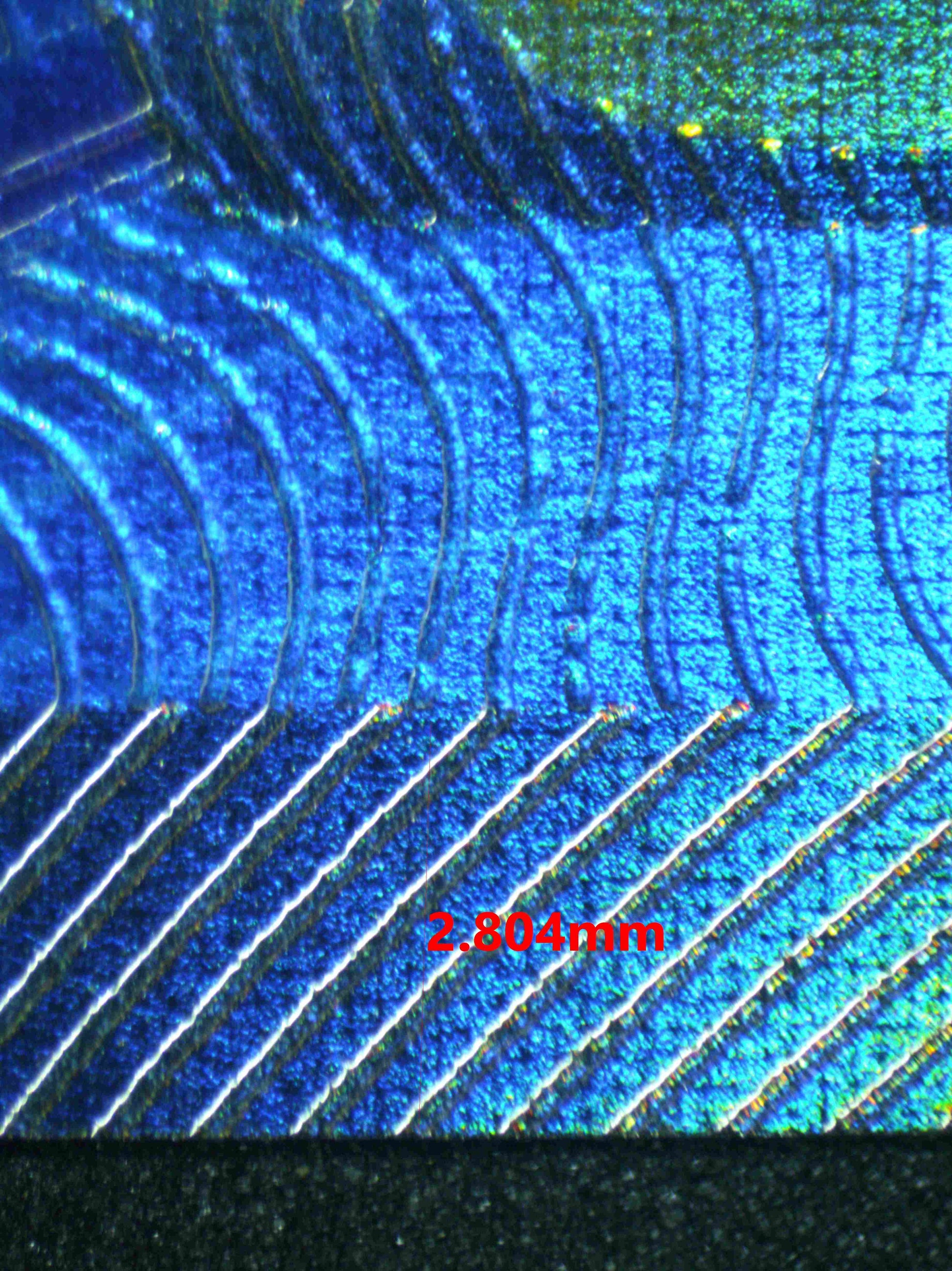 06788 LUGIA EX Grading Card