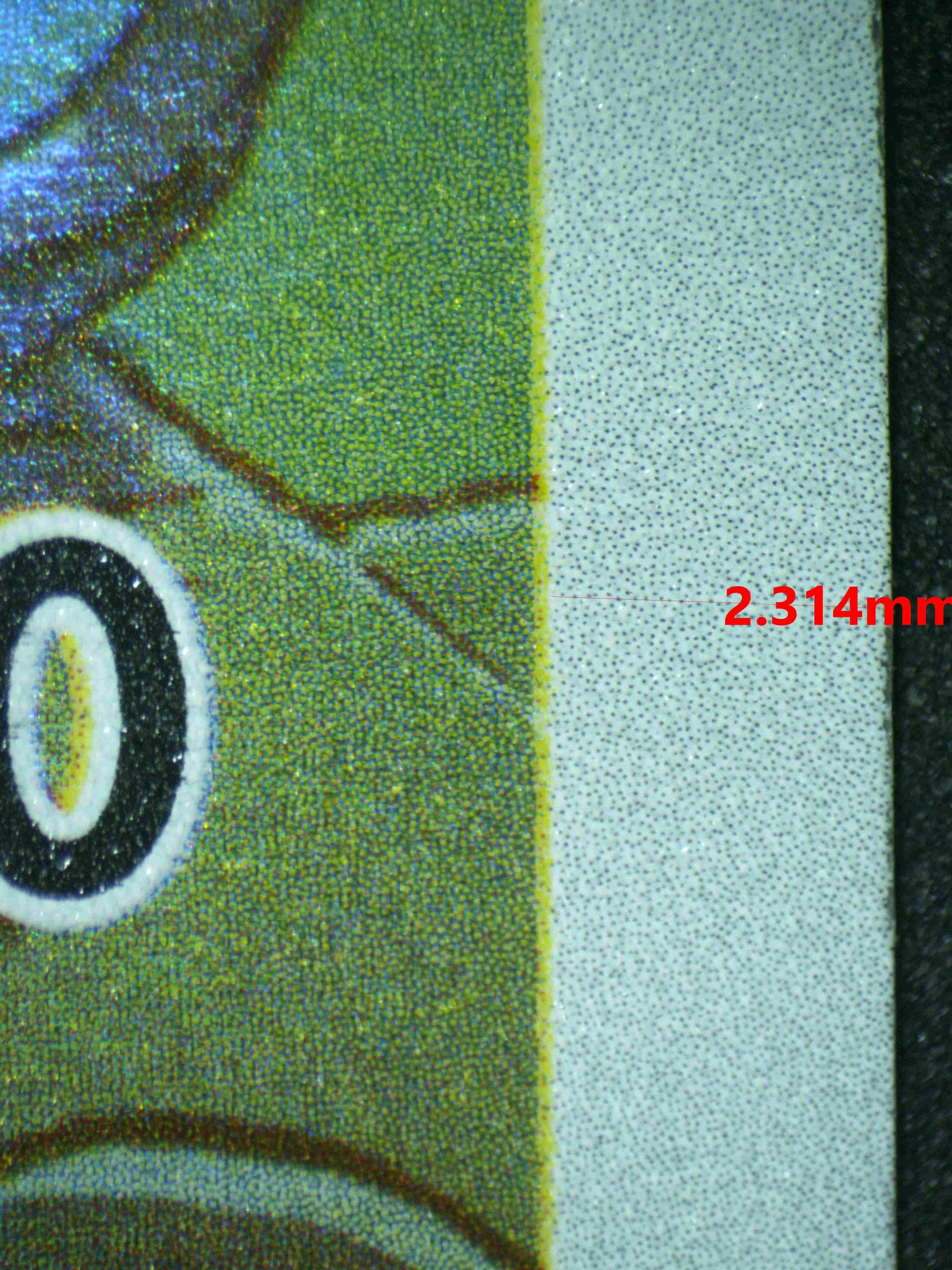 06793 SOLLIV (SPANISH) Grading Card