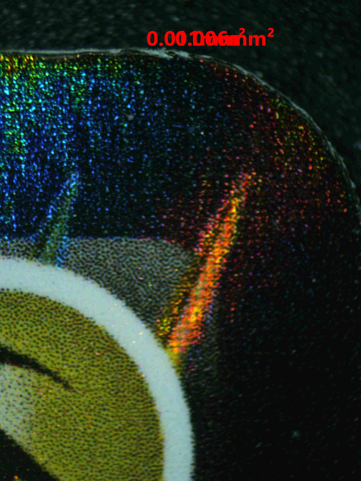 06795 RAYQUAZA V (SPANISH) Grading Card