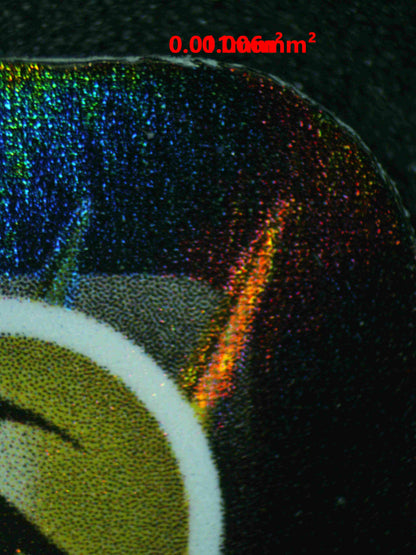 06795 RAYQUAZA V (SPANISH) Grading Card