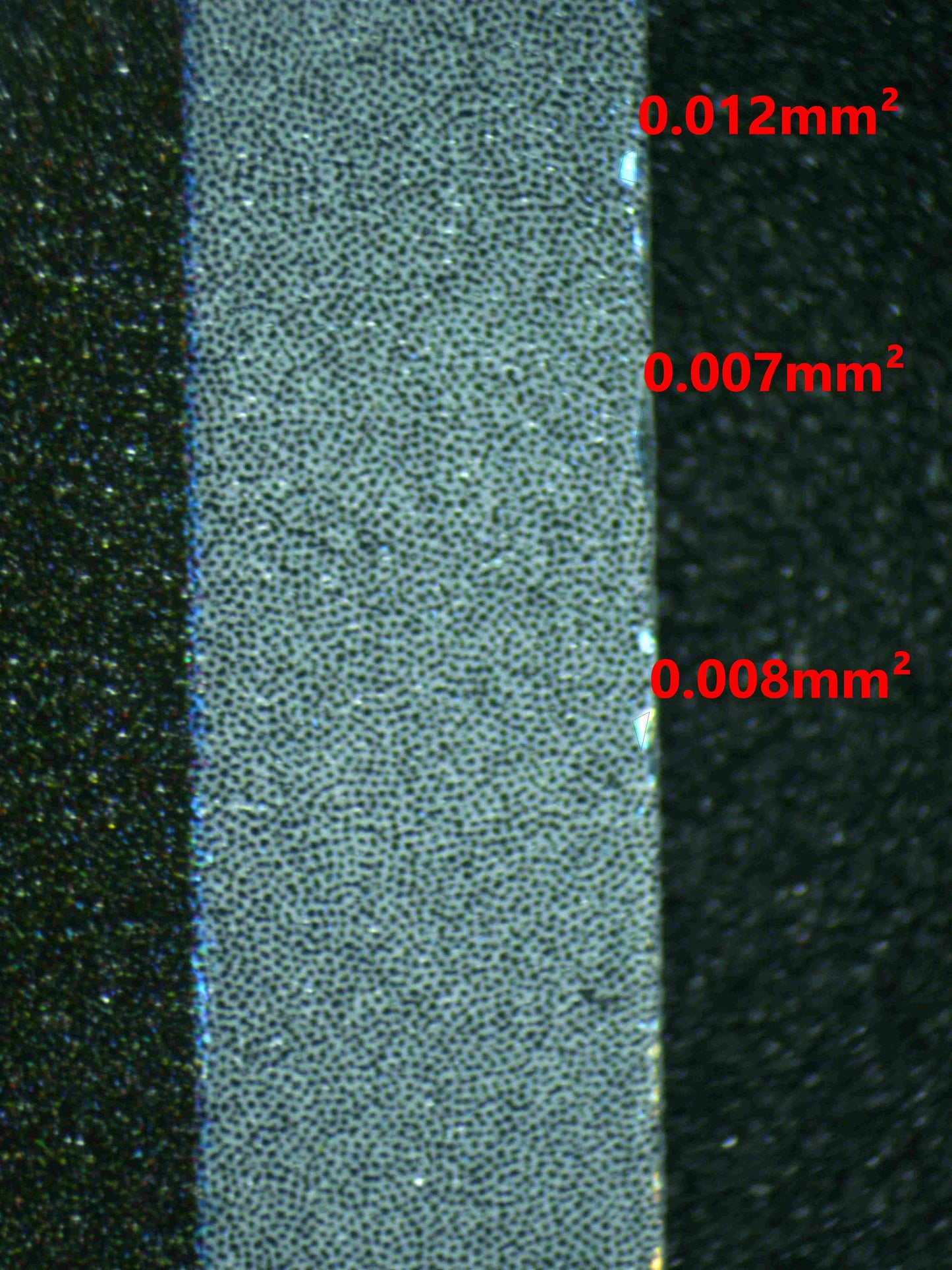 06803 FURRET Grading Card