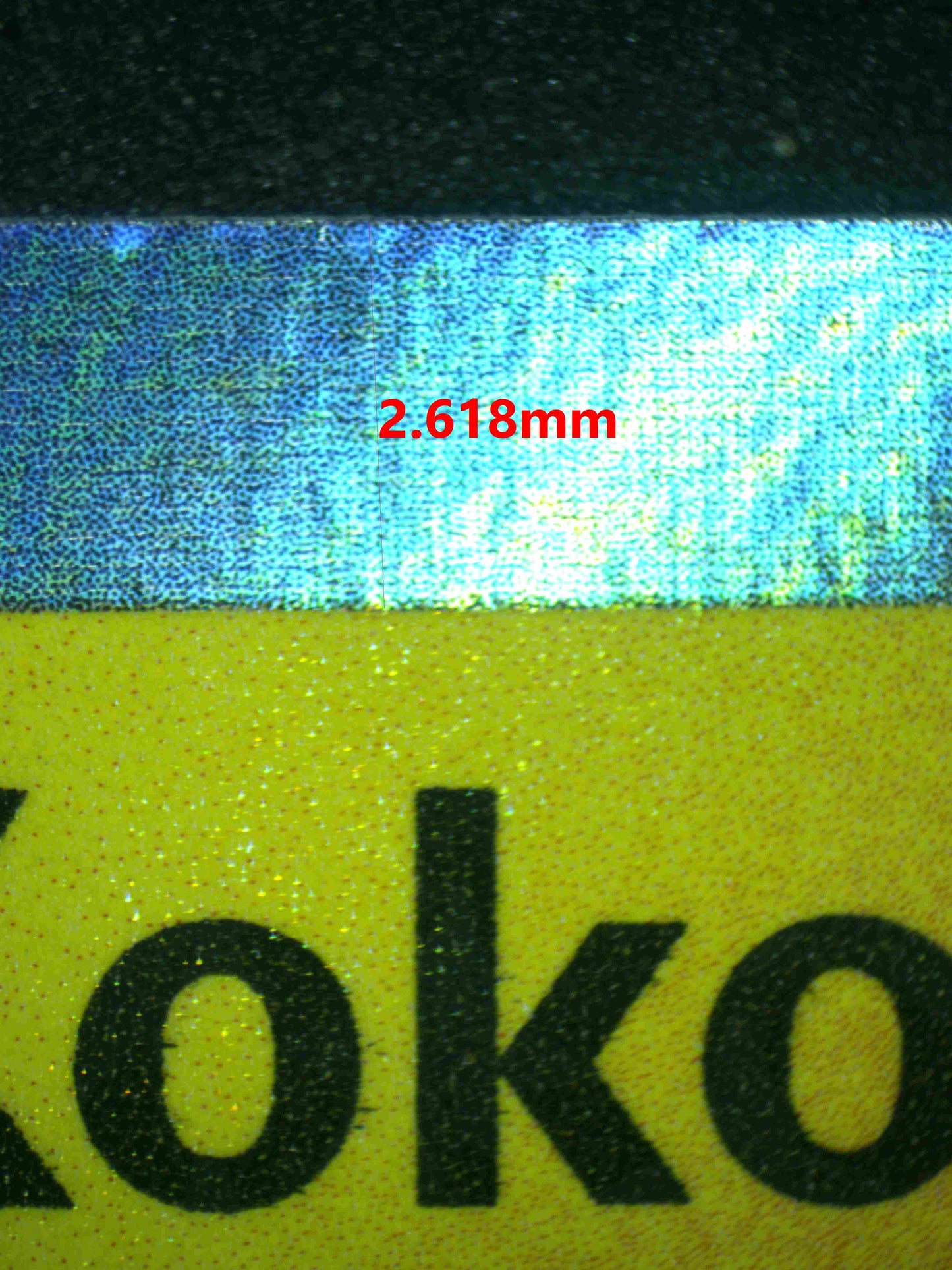 06805 TAPU KOKO EX Grading Card