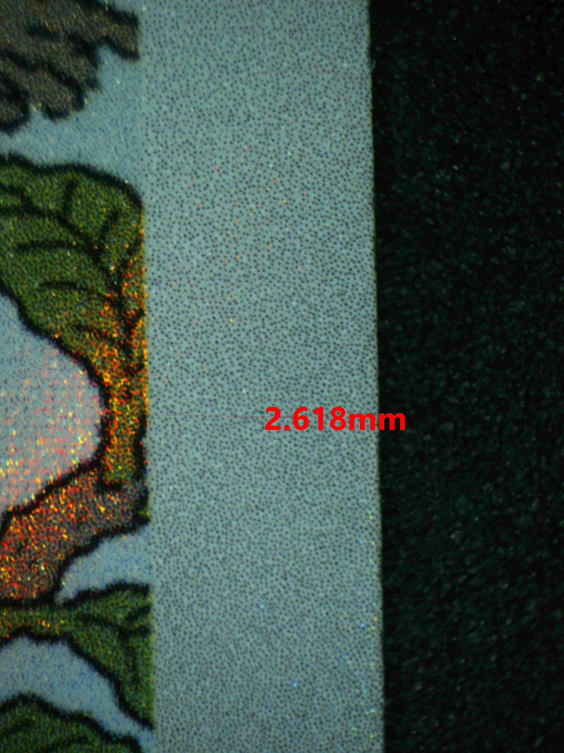 06808 SWINUB Grading Card