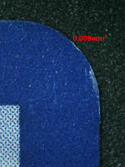 06813 MARACTUS Grading Card