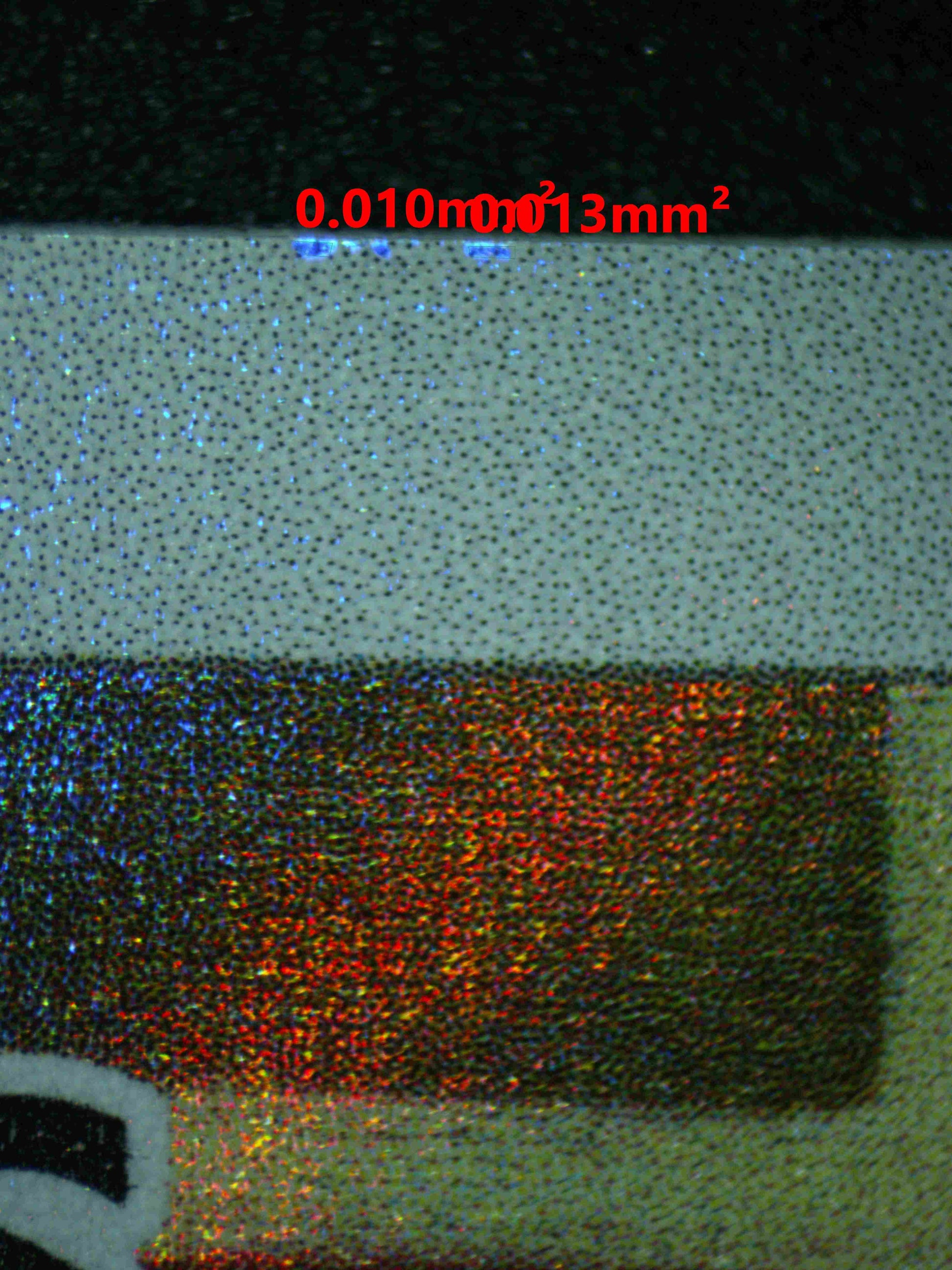 06813 MARACTUS Grading Card