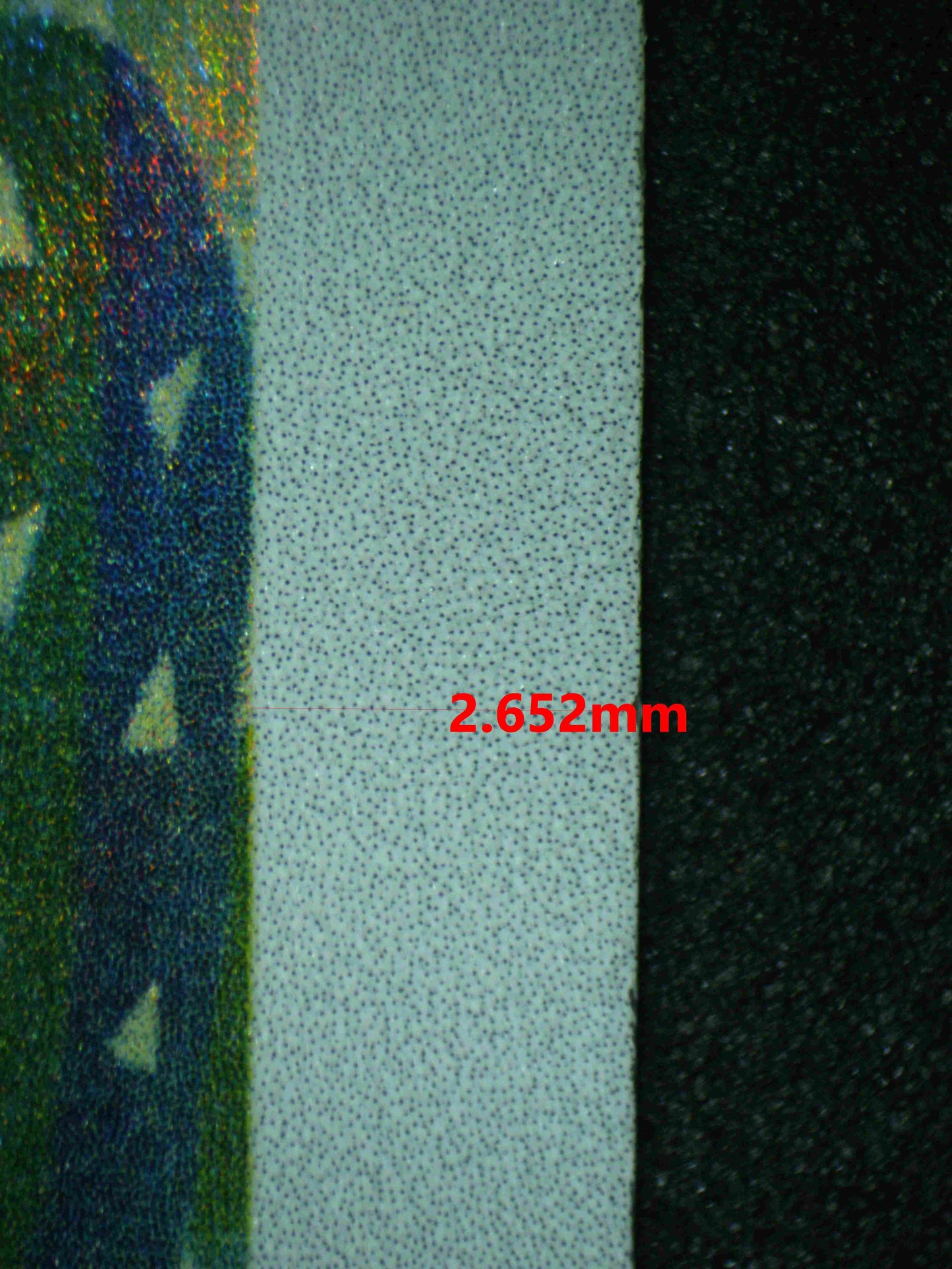 06813 MARACTUS Grading Card