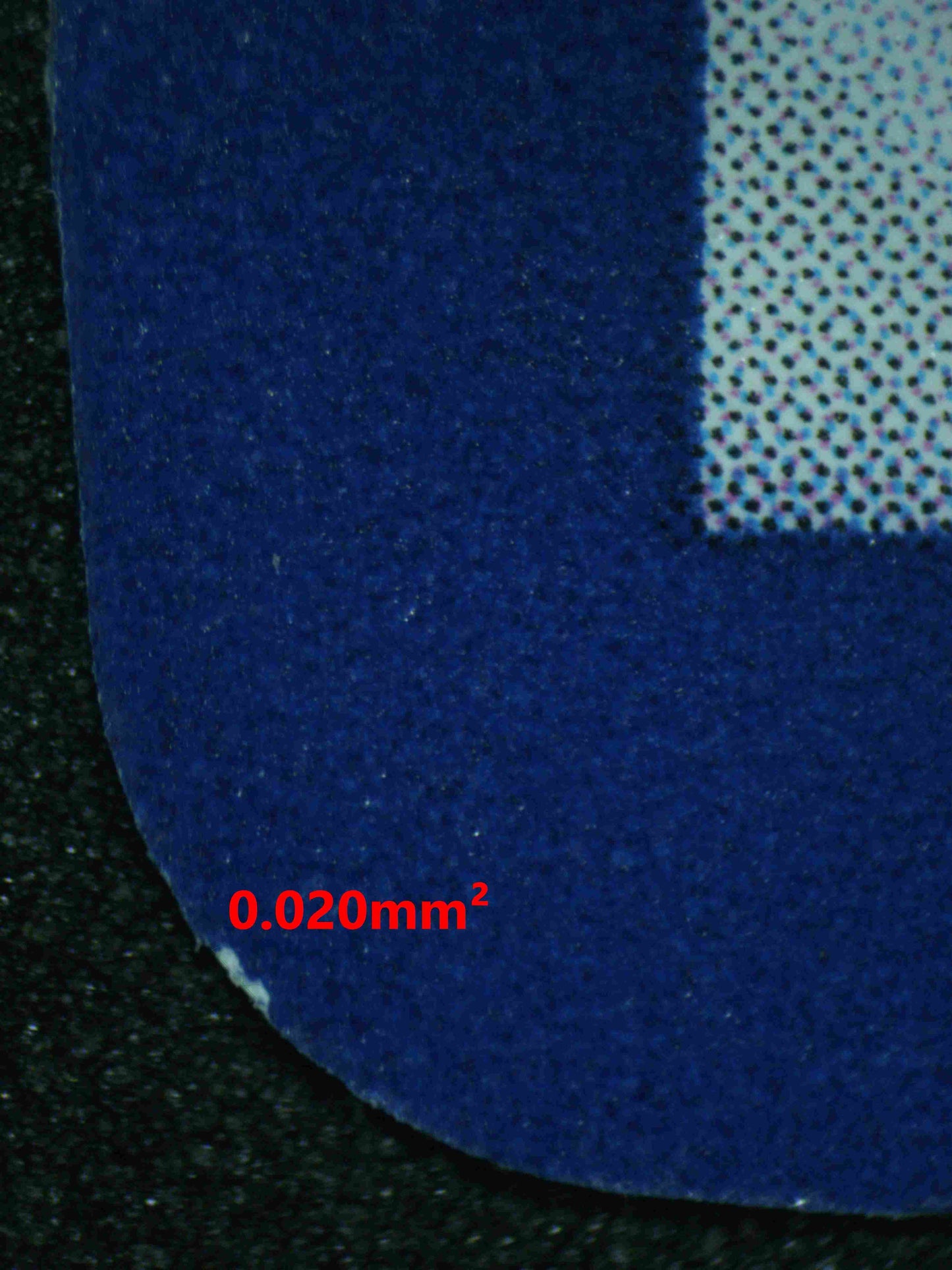 06817 HOP'S ZACIAN EX Grading Card