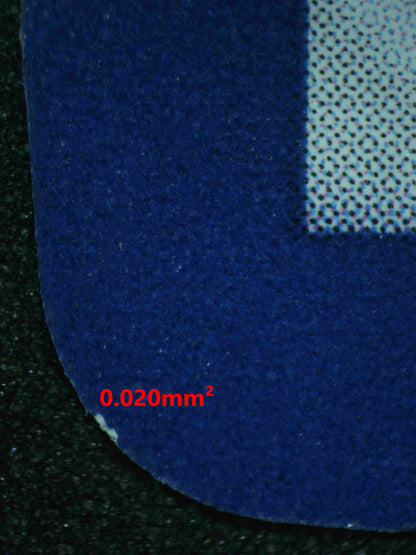 06817 HOP'S ZACIAN EX Grading Card