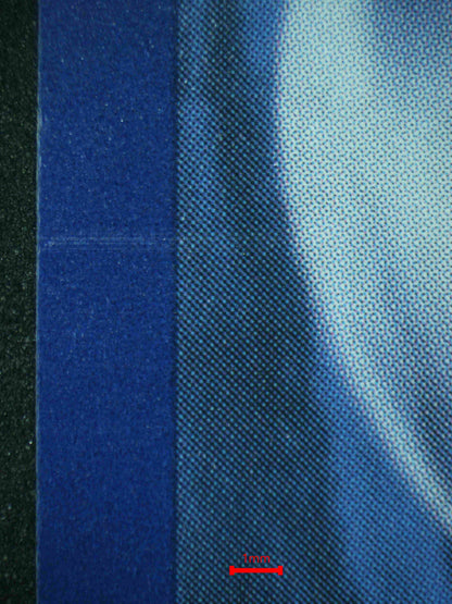 06820 HISUIAN GROWLITHE Grading Card