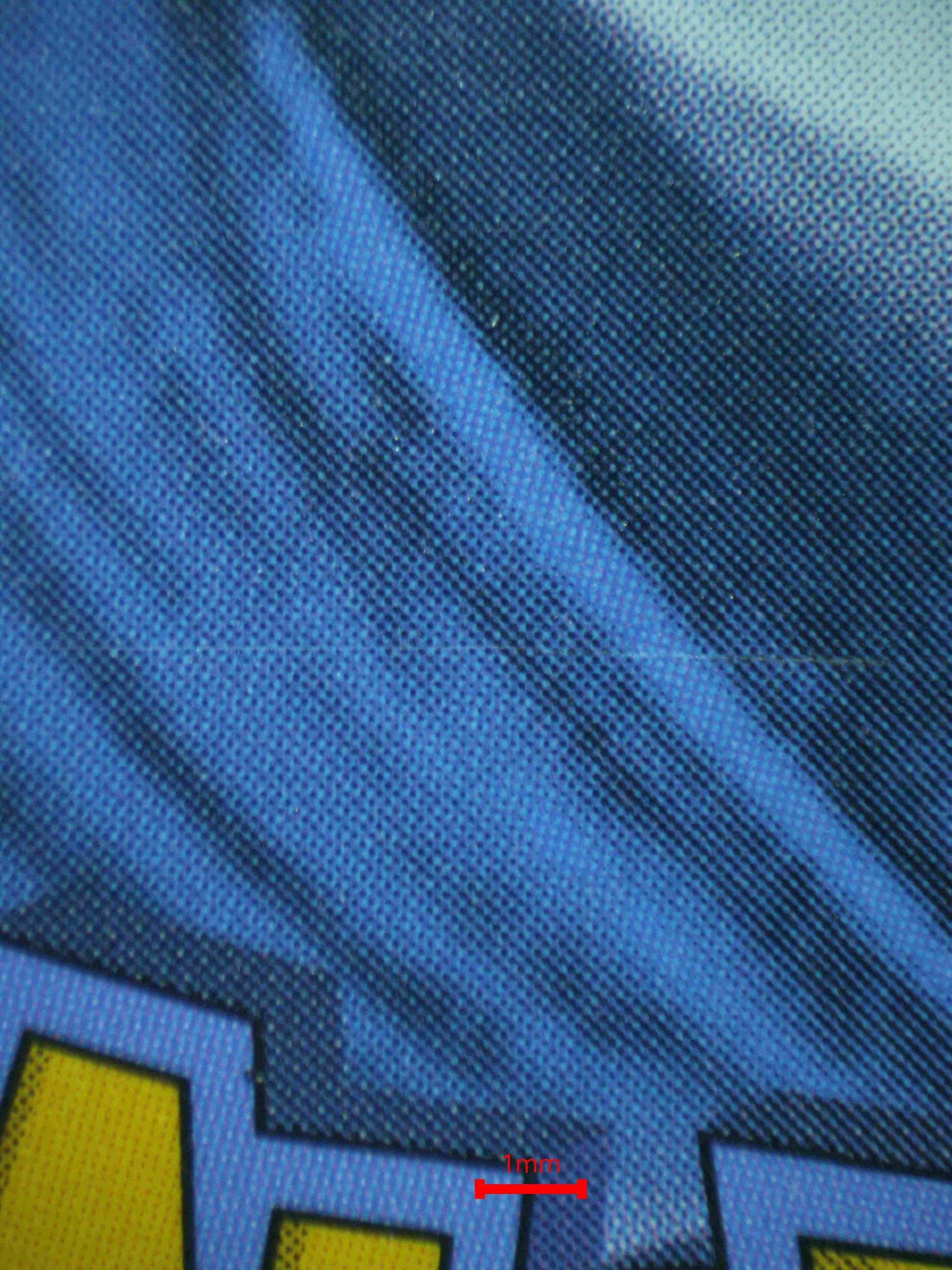 06821 BLACK BELT'S TRAINING Grading Card