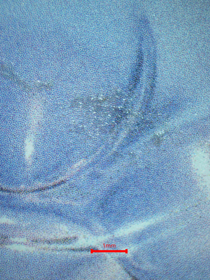 06822 SNOM (SPANISH) Grading Card