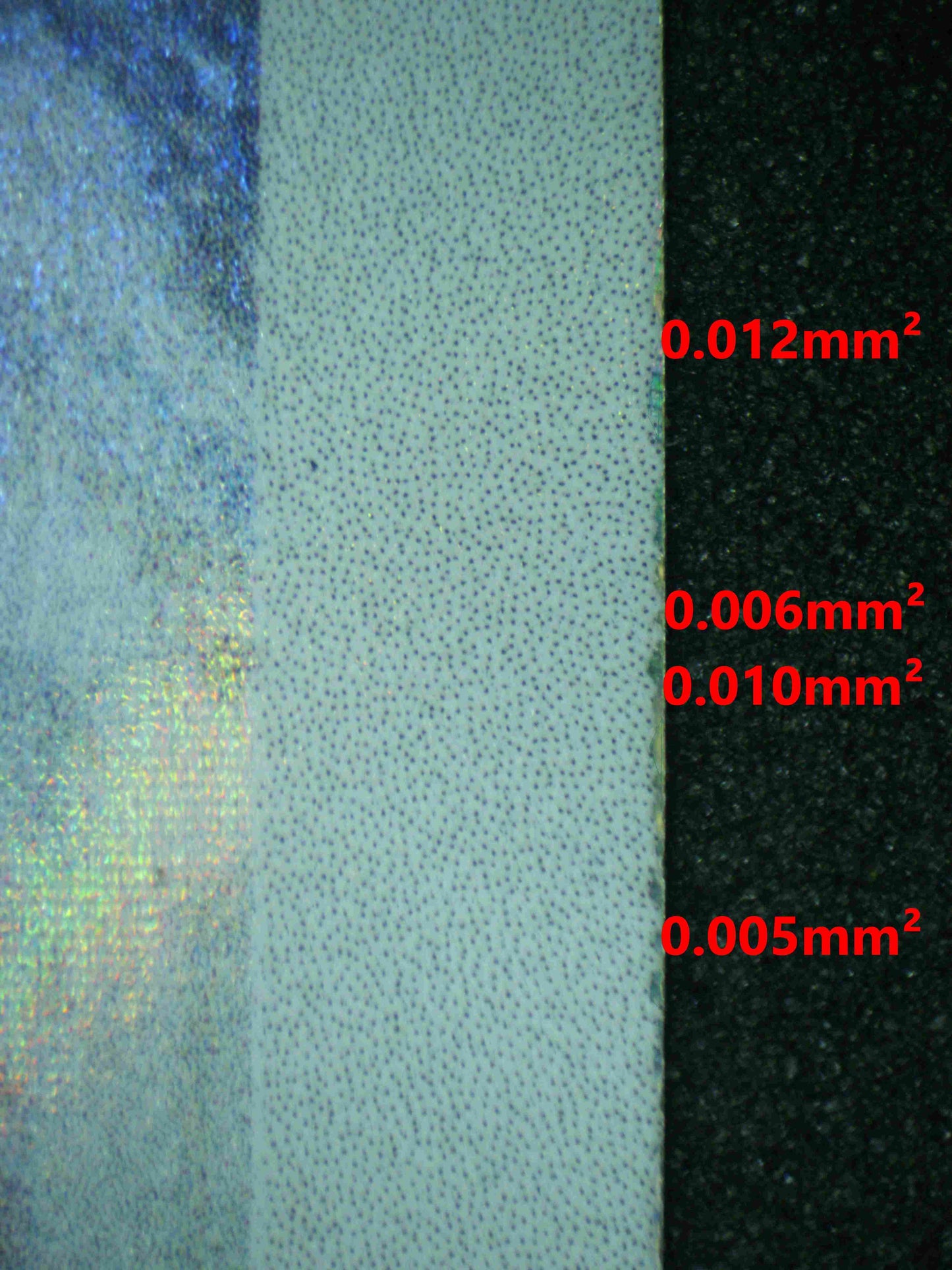 06822 SNOM (SPANISH) Grading Card