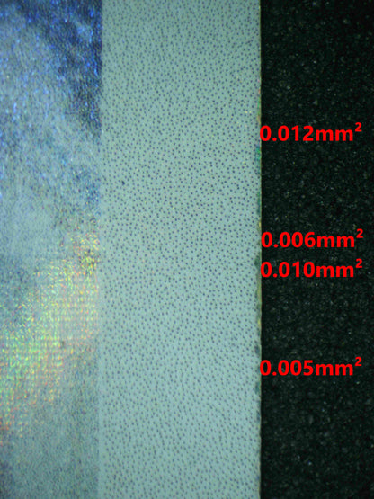 06822 SNOM (SPANISH) Grading Card