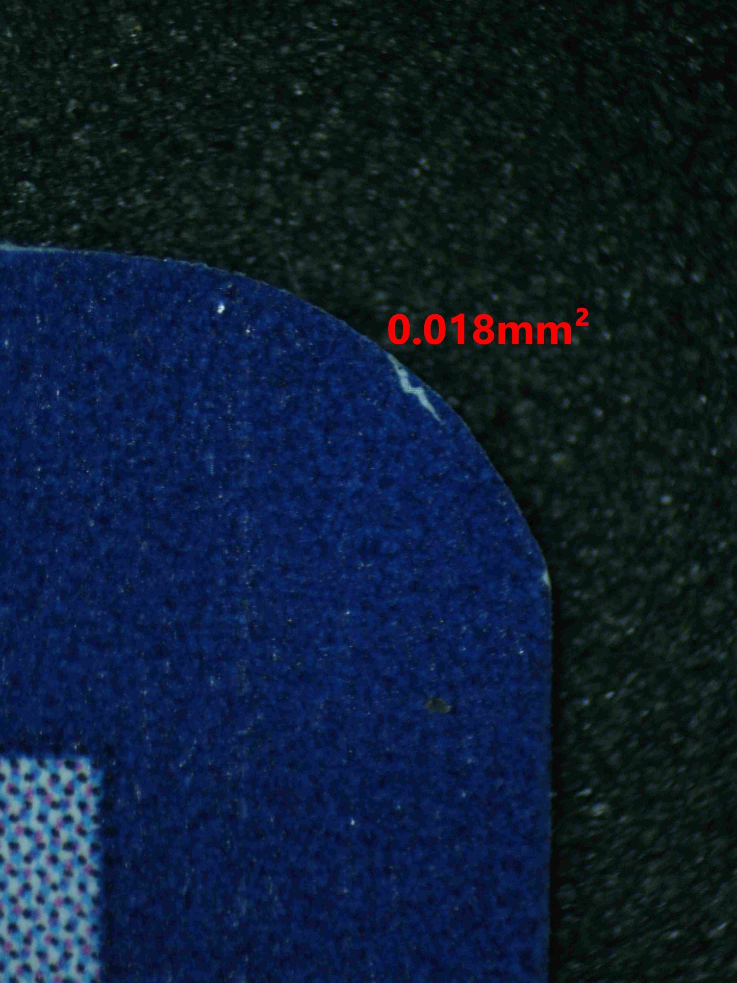 06828 CHARIZARD Grading Card