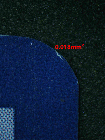 06828 CHARIZARD Grading Card