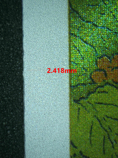 06829 ELECTRIKE Grading Card