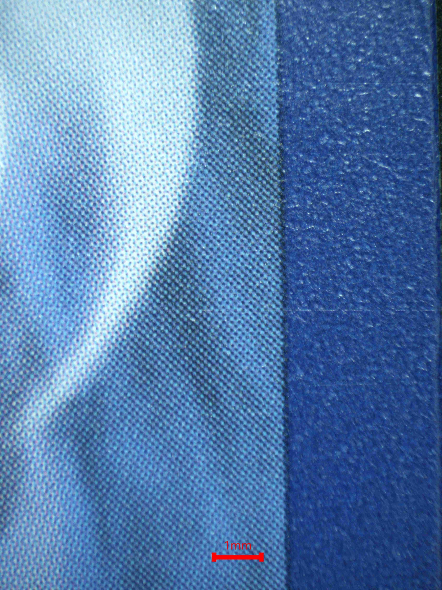 06831 BLASTOISE EX (SPANISH) Grading Card