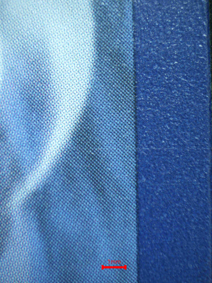 06831 BLASTOISE EX (SPANISH) Grading Card