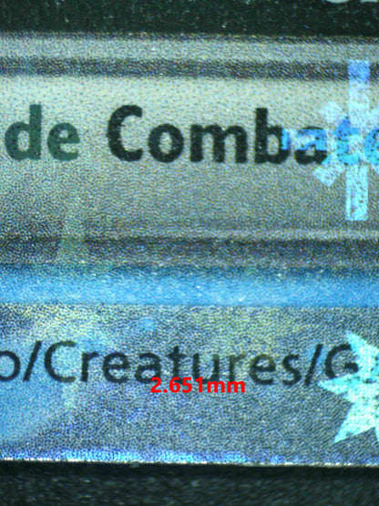 06831 BLASTOISE EX (SPANISH) Grading Card